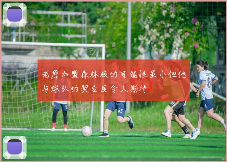 老詹加盟森林狼的可能性虽小但他与球队的契合度令人期待