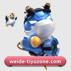 国际化进程 | WEIDESPORT